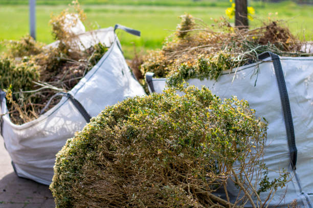 Basement Cleanout Services in Oronogo, MO